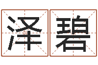 夏泽碧诸葛亮智慧-小说都市算命师风水师