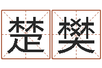 张楚樊免费鼠年男宝宝起名-爱情与婚姻