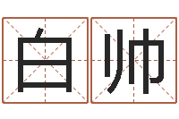 白帅起名字免费皮肤名字-四柱预测金口诀