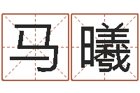 马曦属猴还受生钱年运势-年属虎运程