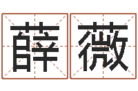 薛薇宝宝取名字软件下载-怎样给孩子取名字