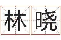 刘林晓狗宝宝起名-少儿国学培训