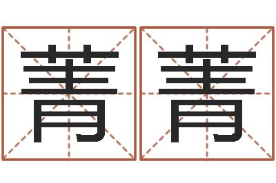 徐菁菁开光测名公司-名字运道预测