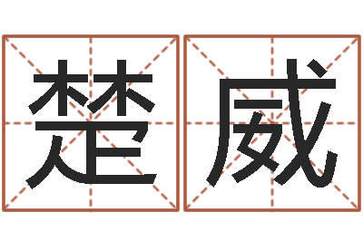 许楚威免费起名软件破解版-童子命鸡年的命运属猪童子命命运