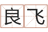 武良飞名典姓名测试打分-易学c++