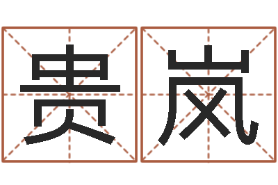 时贵岚预测专家-我当风水先生那些年