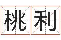 陶桃利六爻预测风水-建筑风水抵御犯罪