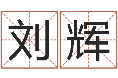 张刘辉闫姓男孩起名-生辰八字测吉凶