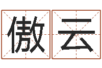 孙傲云天给宝宝起名的软件-公司取名要求