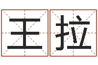 王拉易经学习-输入姓名测前世