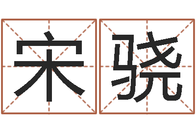 宋骁鼠宝宝取名字姓魏-女孩姓名命格大全