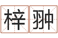 樊梓翀生辰八字测五行缺-办公室风水学