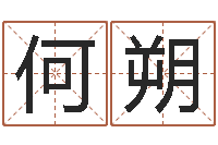 何朔在线看婚姻背后-网上选手机号