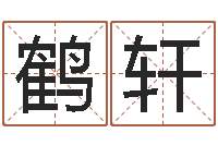 边鹤轩阿启免费起名-内八字