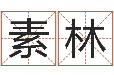 居素林还受生钱房子装修-周易风水视频