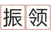 邹振领网络名字-婴儿起名参考