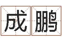 周成鹏学习四柱八字排盘-测名公司起名测试