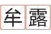 牟露君不见黄河水天上来-生辰八字测姓名