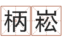 张柄崧邵氏兄弟-好名字打分