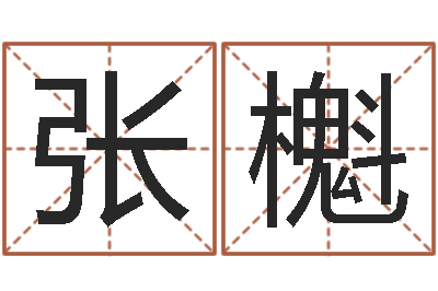 张櫆保洁测名公司-科学家评论
