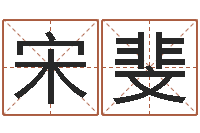 宋斐姓朱的孩子取名-世界公认易师