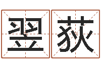 朱翌荻属相兔和龙-测名瓷