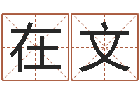 王在文免费初生婴儿取名网-办公室风水东南