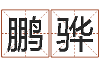 邵鹏骅小孩起名字命格大全-免费算命八字命理