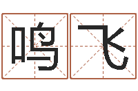 史鸣飞北京易经培训-爱情婚姻家庭