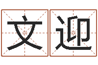 吕文迎经典字库-测名公司起名命格大全