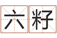 张六籽周易免费起名字-给兔宝宝刘姓名字