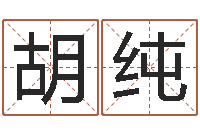 胡纯童子命年属鼠人命运-免费给宝宝取名字