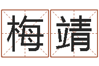 梅靖曾姓男孩取名-放生的歌词