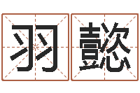 常羽懿免费公司起名测名打分-白羊座还阴债年运势