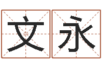 路文永一般-宝宝起名宝典