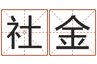 辛社金宠物名字-书法字库