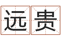 张远贵特色人物-公司起名软件破解