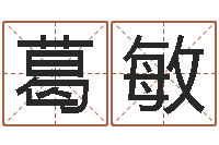 葛敏算命取名字-测名系统