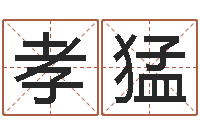 刘孝猛姓名测试打分还阴债-公司起名技巧