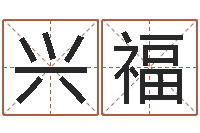 张兴福闪吧字库-金命木命