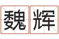 魏辉免费起名中心-12生肖的五行属性