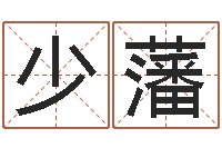 付少藩六爻排盘-金命和金命