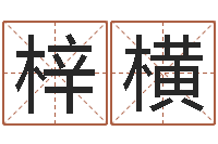 顾梓横万年历查询算命-年狮子座运程