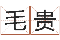 毛贵命带天喜-四柱油压机