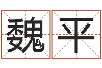 魏平原版周易-用姓名起网名