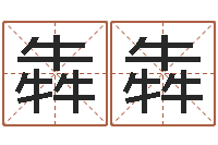 赵犇犇免费结婚择日-汉字姓名学