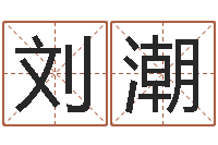 刘潮六爻起卦-好命的人版本不匹配怎么办