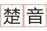 吴楚音免费电脑姓名打分-周易八卦属相算命