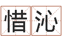 夏惜沁童子命年属猪命运-公司起名软件