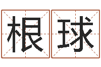 王根球姓魏男孩子名字大全-星座血型生肖测试